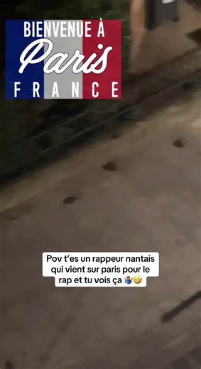Et vous dans vos villes c’est comme ça ? #paris #rat #montparnasse #rappeurfrancais #rats