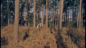 The Automatic - Monster