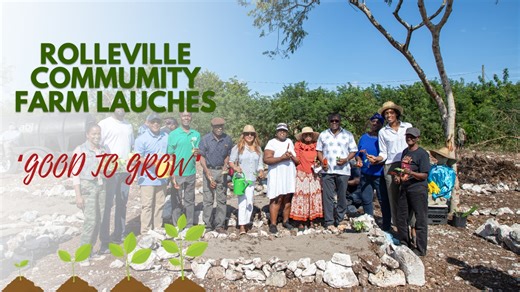 WATCH NOW! In this episode of Good to Grow, Rolleville, Exuma is going back to basics with its brand new community farm! #MOAMR #ADO #RBC #Rolleville #herewegrow | The Bahamas Ministry of Agriculture and Marine Resources