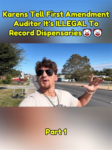 Understanding First Amendment Rights in Public Audits