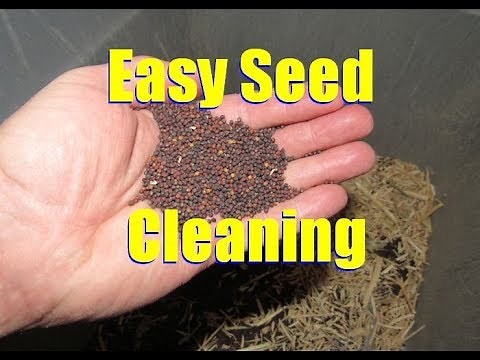 How to Clean Seeds