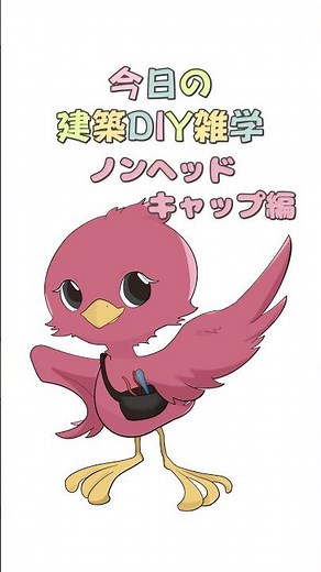 【ダンドリちゃんの建築DIY雑学】ノンヘッドキャップを使ったビスの隠し方 #ダンドリビス #建築 #DIY