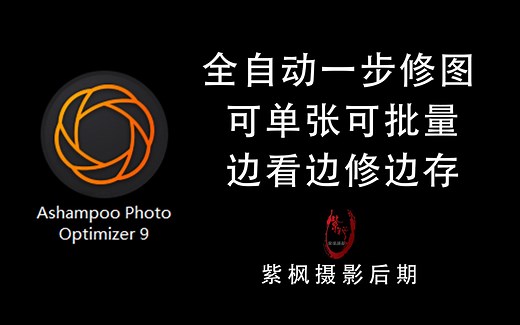 全自动一步修图 可单张可批量 边看边修边存 AshampooPhotoOptimizer 9