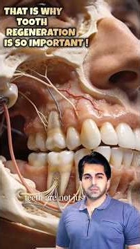 Why Tooth Regeneration Will Redefine Dentistry in the Next Century #shortsfeed #viral #shorts #tooth
