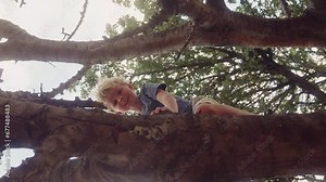 Boy Peeking From A Tree Branch And Smiling