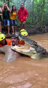 bombeiro impede crocodilo de girar com homem usando cabo de salvamento