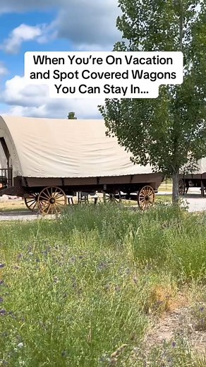 Who would stay here Me! Let’s be honest — I wouldn’t last a day without modern conveniences, but a prairie girl can dream | Romantic Comedy