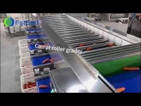 From Field to Perfect Pack: The Ultimate Carrot Processing Line!👏🥕 ✨
