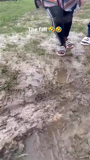 Exploring Innovative Robotics and AI Technology