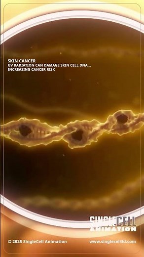 What UV Damage Really Looks Like... DNA Breaks and Mutations | #Shorts