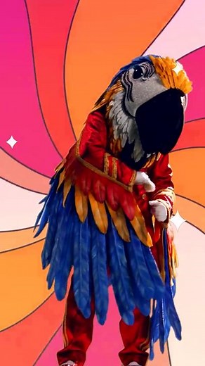 Unveiling the Journey of Macaw on The Masked Singer