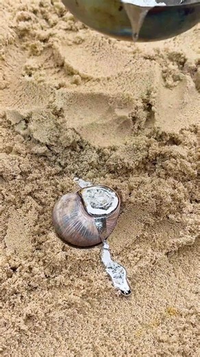 Metal seashell | Creative Ideas