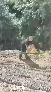 Live Construction Site: Excavator & Workers Collaborate for Road Paving