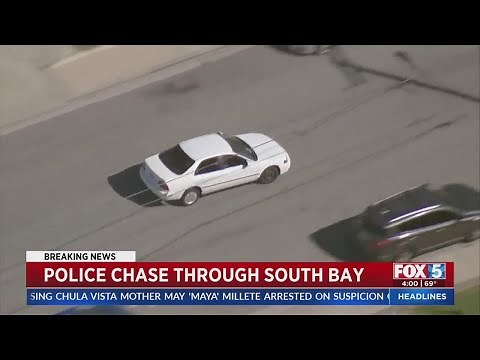 Police Dog Takes Down Suspect After Chase Through South Bay