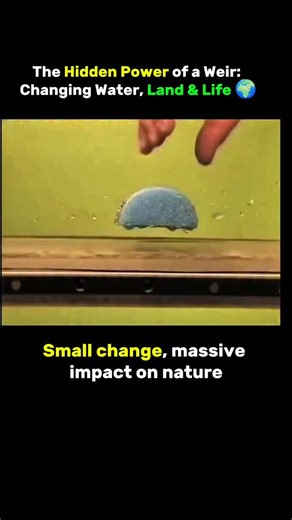 Entrepreneur | Business on Instagram: "This Isn’t a Dam — It’s a Weir, and It Changes Rivers Forever 🌊 🌊 Correction Matters: The structure shown in this video is not a dam — it’s closer to a Weir. A weir doesn’t completely block a river. Instead, it controls water level and redirects flow, subtly reshaping how a river behaves. 🏞️ When a low barrier is placed across a flowing river: Water slows down upstream and begins to accumulate A calm, shallow pool forms above the structure Downstream flo