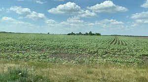 3.5K views · 292 reactions | Resilience of Ukrainian farmers. Even while situated just 20 km from the frontline, amidst artillery attacks and explosions, Ukrainian farmers in southern Ukraine persist in their agricultural activities — sowing fields and cultivating crops. : UkraineWorld | UkraineWorld | Facebook