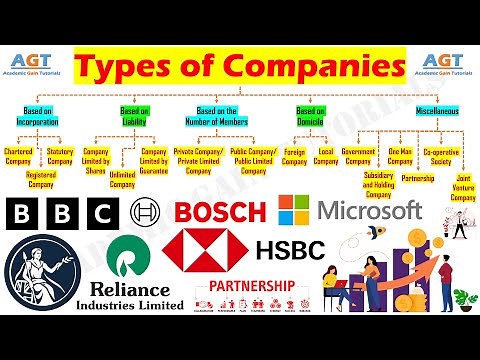 Types of Companies with Examples.