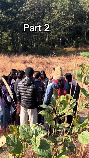 Vagarevag Part 2: A Fun Comedy Experience