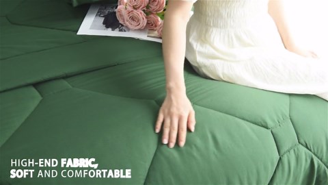 HIG 8 PCS Modern Comforter Set with Sheets All Season Bed in a Bag, Sage, King Size