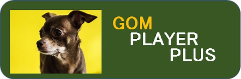 有料版『GOM PLAYER PLUS』と無料版『GOM PLAYER』の違いって何？ | Nogu Blog