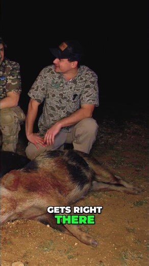 Hog Hunting: Night Vision & Thermal Cameras Lead to Success! #shorts