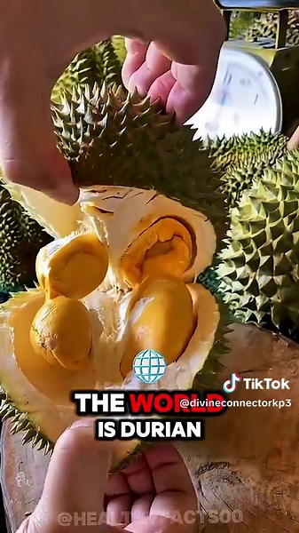 #healthylifestyle #healthyfood @divine connections agency #healthiestfood #healthiestmeatintheworld #healthiestmeat