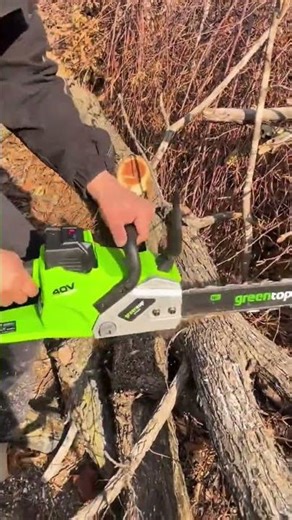 Cutting Wood Logs Using Chainsaws For Professional And Detailed Creative Woodworking Project