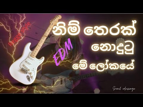 නිම් තෙරක් නොදුටු මේ ලෝකයේ | Nim therak nodutu mee lokayee | EDM | Regge version | sunil edrisinghe