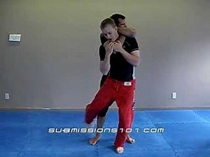 Standing Rear Choke Escape