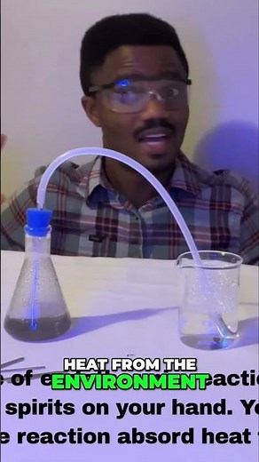 Chemistry 101 Exothermic vs Endothermic Reactions Explained