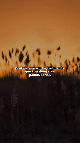 Nomás suena una vez… y vuelven todos los recuerdos. 🕊️❤️‍🩹 Un cover por Enigma Norteño “Confieso” #enigmanorteño #regionalmexicano #cancionesparadedicar #cancionestristes #confieso