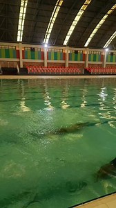 23K views · 488 reactions | Ngayon lang ako nakakita ng ganito malaking indoor swimming pool, Olympic size! Tara, take me to Semirara Island! #semirararacoalfestival2025 #semiraratourism #AngatCaluya #StrongerTogetherSemirara #LoveAntique #SemiraraIsland | Oriental Mindoro Channel | Facebook