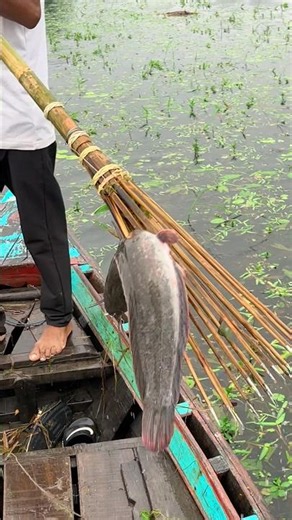 Boat fishing video | Unbelievable boat fishing in flood water (part_183)#shorts #fishing#boat #viral