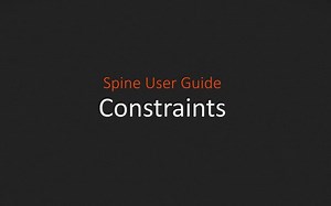 Spine User Guide - Constraints