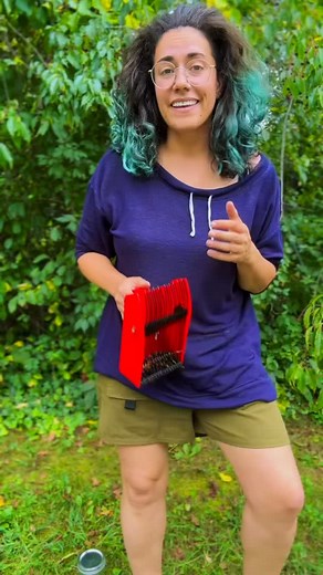 16K views · 1.9K reactions | Let’s make #cherrybounce using Prunus serotina, aka black cherry! You might recognize it as a popular candy flavor, but this amazing tree friend has a long history as a culinary and medicinal staple for Indigenous people on Turtle Island! #mushroomauntie #foraging #blackcherry #foragedrecipes | chaoticforager | Facebook