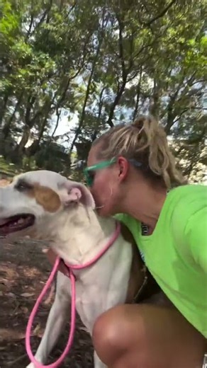 Go kiss a shelter dog, you and them will feel better! Chase loves kisses, walks and sometimes a