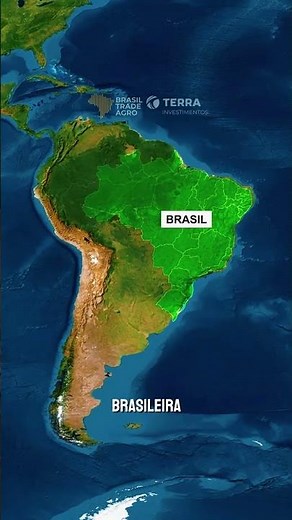 Como Brasil transformou o cerrado improdutivo em potência no agro.