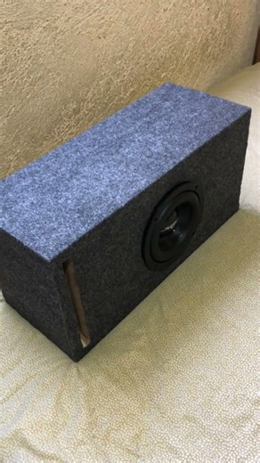 Skar Audio EVL-8 D2 8" car subwoofer