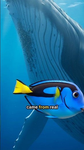 This creepy movie sound came from a whale 😱 #movies #sounddesign #findingnemo Hear Dory's "speak...