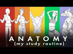 5 exercises to improve your anatomy