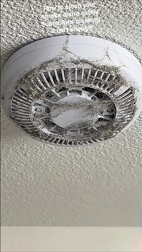 Stop the Beeping! How to Safely Clean Your Smoke Alarm 🧼 #viral #spasafety #firealarm #firesafety