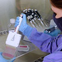 Video: An Intestine/Liver Microphysiological System for Drug Pharmacokinetic and Toxicological Assessment