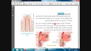 توضیح از روی کتاب علوم هفتم - فصل 13