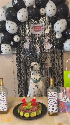 Birthday Boy of the Year || ViralHog