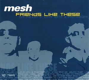 Mesh - Friends Like These