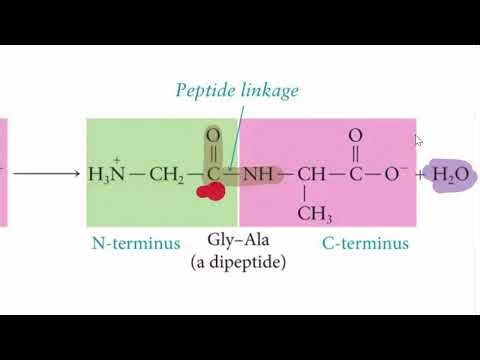 General_Ochem_Biochem_CH12_V2