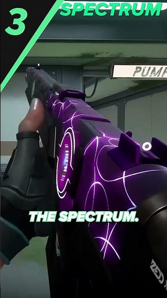 The Top 5 BEST Guardian Skins!