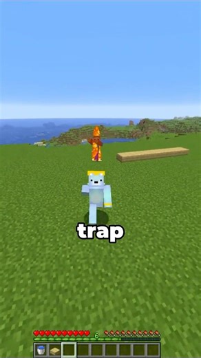 Mobs Can't See This... 🤫