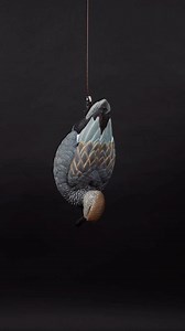 7.9K views · 486 reactions | Available now. | Heyday | Facebook