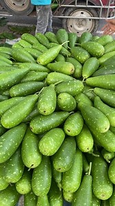 Amazing Fresh Gourd Harvesting at Village Farm | FoodStuff